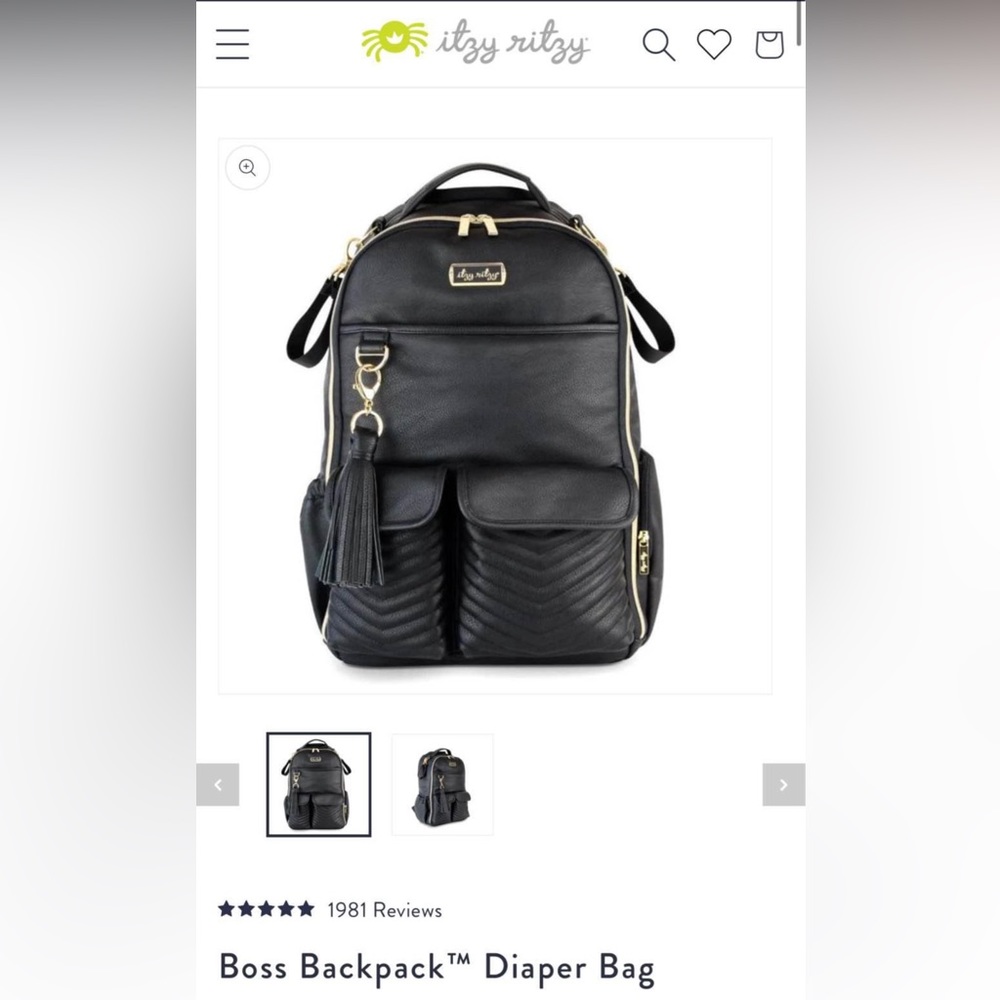 Itzy Ritzy Diaper Bag